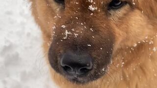 mia rose onlyfans adult mare fingering holes