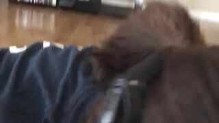 francesca le  onlyfans Exciting striptease