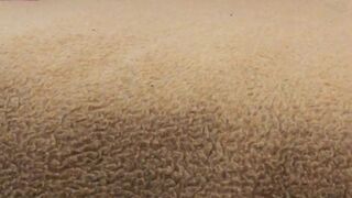 francys belle onlyfans graceful female seduces with juicy tits