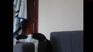 pink_fuck crazy mare fiercely masturbating their holes