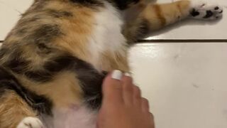 tall tasha onlyfans Luxury blonde