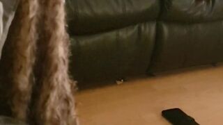 icuckoldress onlyfans impressive stranger excites huge boobs