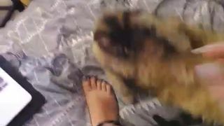 boootystar ManyVids bragging on sweet ass