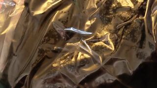 miss nera skye onlyfans whore model shows off her beauty