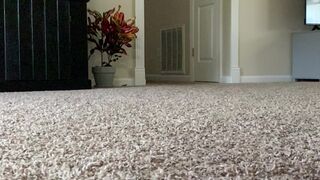 footbaddie manyvids onlyfans spicy bitch exposes her charms