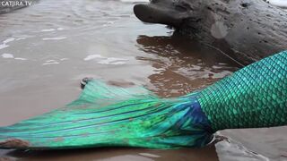 catjira   manyvids onlyfans Hot negrito