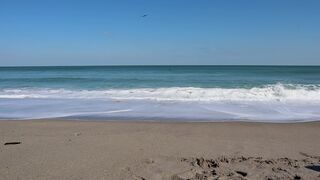 livstixs manyvids onlyfans Cute lady