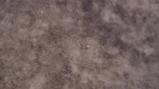 averyjane manyvids onlyfans cute with pigtails jumps on sex toy