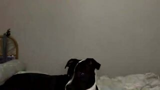 gthatass manyvids onlyfans perfect slut caresses beautiful boobs