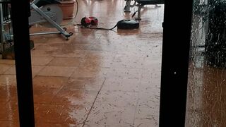 alexatomasx manyvids onlyfans Charming light hair