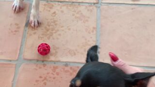 angelwicky manyvids onlyfans spicy slut caresses nipples