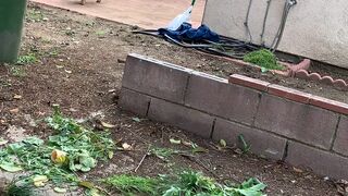 misslacylennon manyvids onlyfans bitch in high heels and her sexy legs