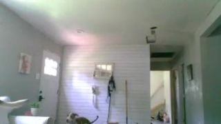 le_lea ManyVids gorgeous ladies chatting in free chat