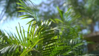 vickyaisha onlyfans mature and skillful