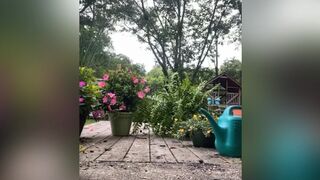 paytonavery onlyfans busty bitch caresses nipples