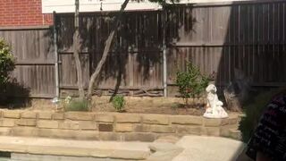 leahgotti___ onlyfans slim bitch jerks off with sex toys