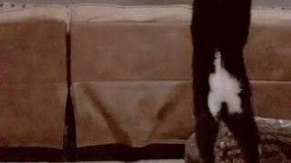 dylanjamesxo onlyfans great bitch wore a mask and fucks with a toy