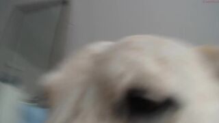 wetsparkles chaturbate babe fucks both holes