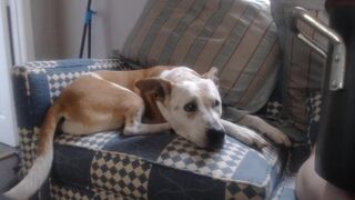 wetsparkles chaturbate Exquisite crumb