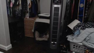 wetsparkles chaturbate crazy bitch furiously masturbating cunt