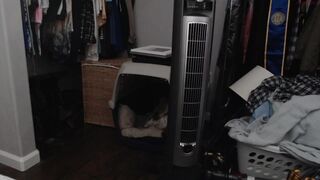 wetsparkles chaturbate undressing in  private e