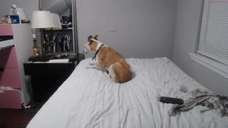 wetsparkles chaturbate knot