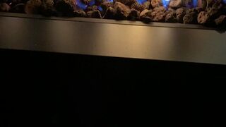 junifurmoon onlyfans naughty courtesan fucks with phallus