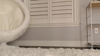 kati3kat ManyVids shy slut caresses shaved cunt