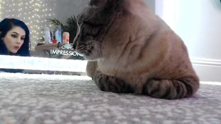 kati3kat ManyVids blissful bitch fucks both holes