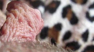 Cuteblonde668 ManyVids screen 16.06.2019