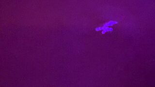 vanityp onlyfans Ardent bbw