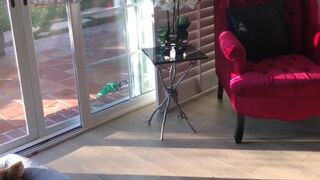 char_stokely onlyfans slut cums off