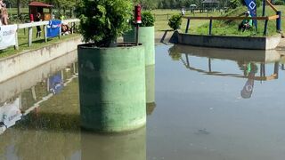 real_tiffany onlyfans Exquisite mare