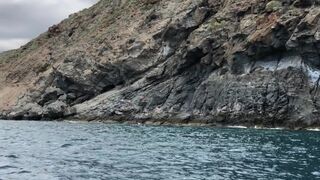 danniiharwood onlyfans charming whore sticks dildo in the vagina