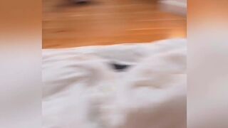 13 onlyfans Amazing babe