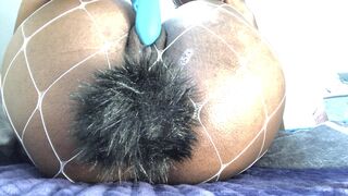 sienasunflower onlyfans Showy chick