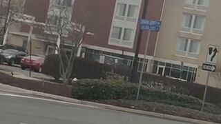 headdoctort onlyfans Cute latina