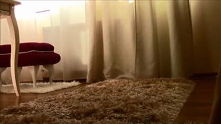 Саylin To the cute chick rubs her clit