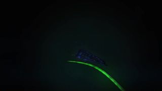 Sophie Dee Luscious Lopez manyvids porn record 1.07.2019