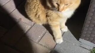 kayleighcoxx84 08 august 2020