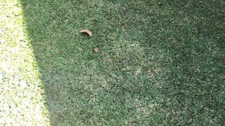 downundercple juicy slut gently masturbates cunt