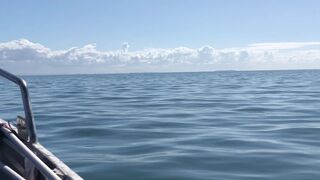 downundercple High curva