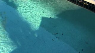 downundercple 2 January 2020