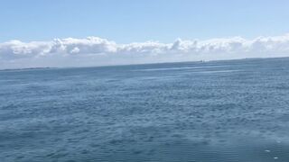 downundercple gorgeous bitch bares her breasts