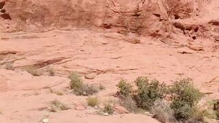 tsvegasvalentine passionate  private e jerking