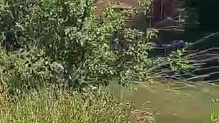 lola lily xxx Coveted chick