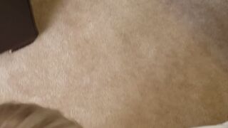 tiffanystarbbw Depraved knots