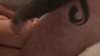 lenatheplugxxx Obstinate priestess