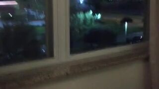 boltonwife 29 February 2020