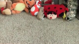 calliemurphy show in free chat